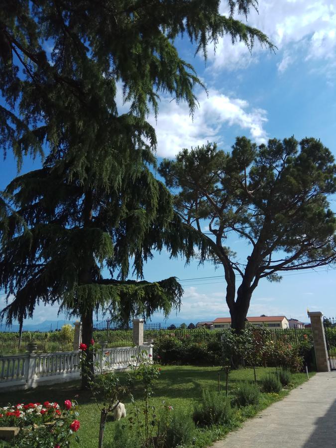 La Siesta Hotel Villafranca di Verona Luaran gambar