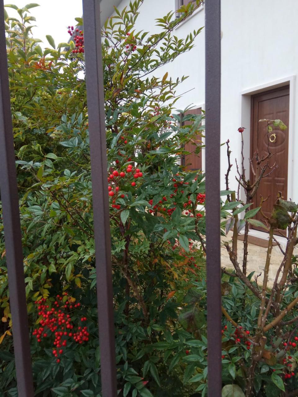 La Siesta Hotel Villafranca di Verona Luaran gambar